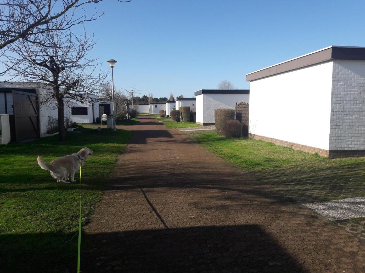 Le Petit Blekker Villa Koksijde Kültér fotó